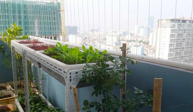 Lưới An Toàn Chung Cư Hoà Phát Giá Rẻ