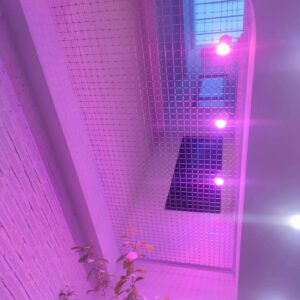 Lưới an toàn giếng trời